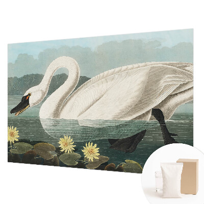 Modern wall mural with a swan and water lilies
