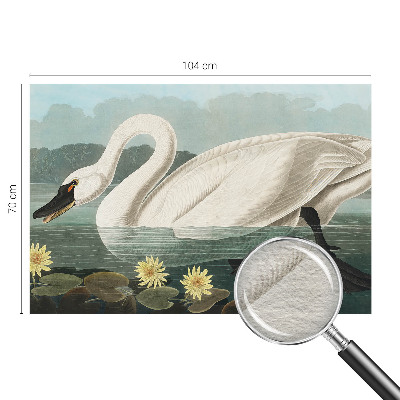 Modern wall mural with a swan and water lilies