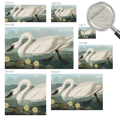 Modern wall mural with a swan and water lilies