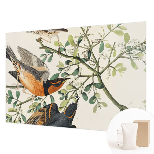Modern wall mural for bedroom featuring colorful birds