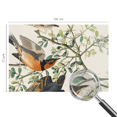 Modern wall mural for bedroom featuring colorful birds