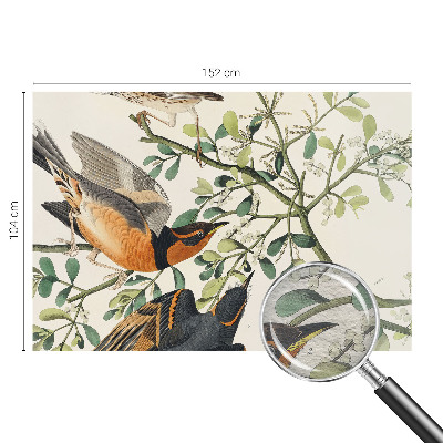 Modern wall mural for bedroom featuring colorful birds
