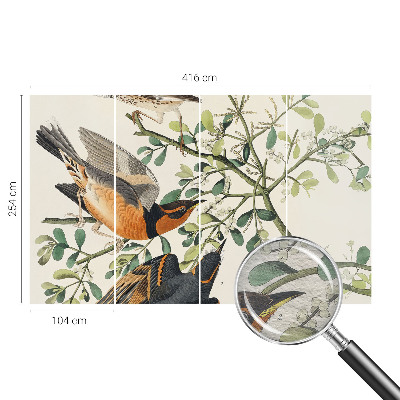 Modern wall mural for bedroom featuring colorful birds