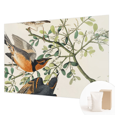 Modern wall mural for bedroom featuring colorful birds