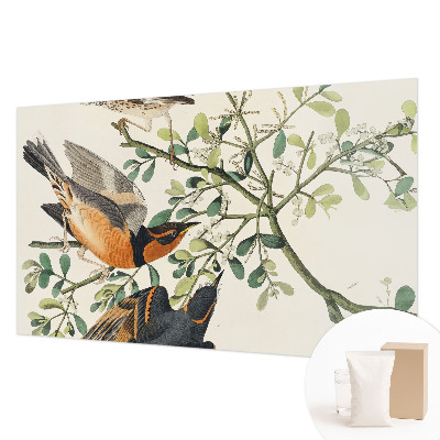Modern wall mural for bedroom featuring colorful birds