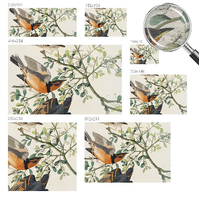 Modern wall mural for bedroom featuring colorful birds