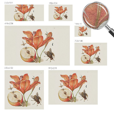Non-woven wall mural Botanical illustration