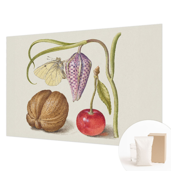 Non-woven photo wallpaper with a butterfly and plant motif