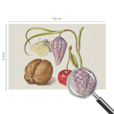 Non-woven photo wallpaper with a butterfly and plant motif