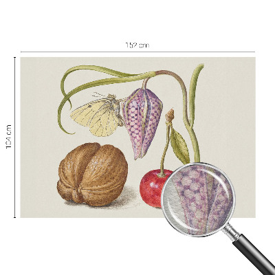 Non-woven photo wallpaper with a butterfly and plant motif