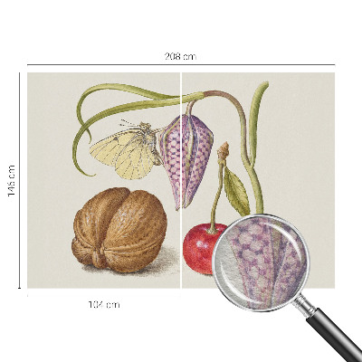 Non-woven photo wallpaper with a butterfly and plant motif