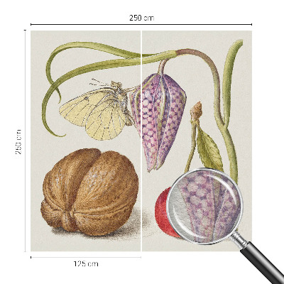 Non-woven photo wallpaper with a butterfly and plant motif