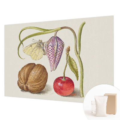 Non-woven photo wallpaper with a butterfly and plant motif