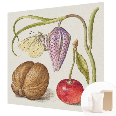 Non-woven photo wallpaper Butterfly plant