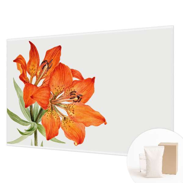 Wall mural with an orange lily motif