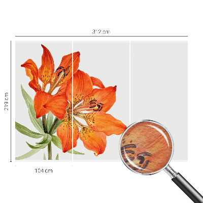 Wall mural with an orange lily motif