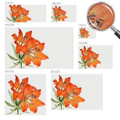 Wall mural with an orange lily motif