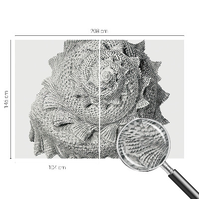 Large wall mural The art of nature