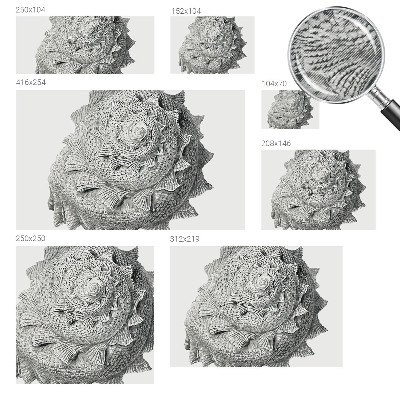 Large wall mural The art of nature