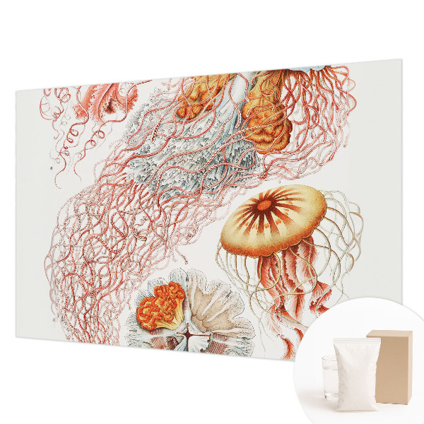 Custom size wall mural with a fancy jellyfish design
