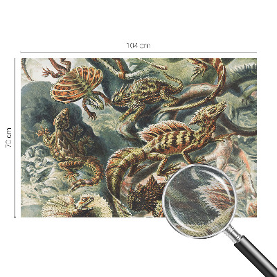Large wall mural wallpaper featuring exotic reptiles