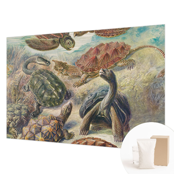 Modern wall mural for bedroom with a turtle fauna design