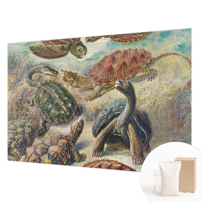 Modern wall mural for bedroom with a turtle fauna design