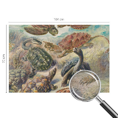 Modern wall mural for bedroom with a turtle fauna design