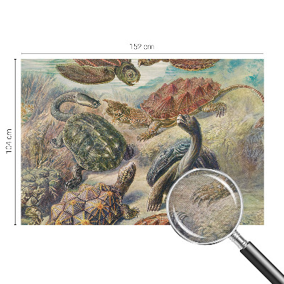 Modern wall mural for bedroom with a turtle fauna design