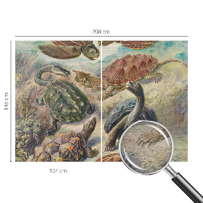 Modern wall mural for bedroom with a turtle fauna design