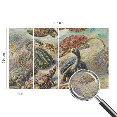 Modern wall mural for bedroom Turtle fauna