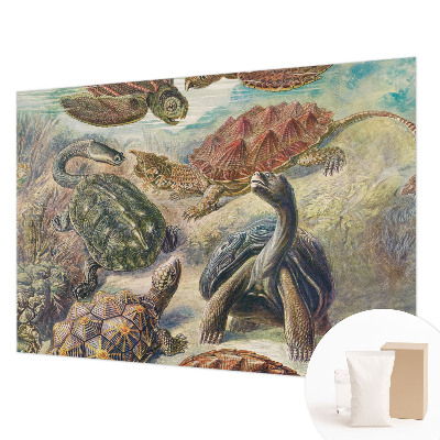 Modern wall mural for bedroom with a turtle fauna design