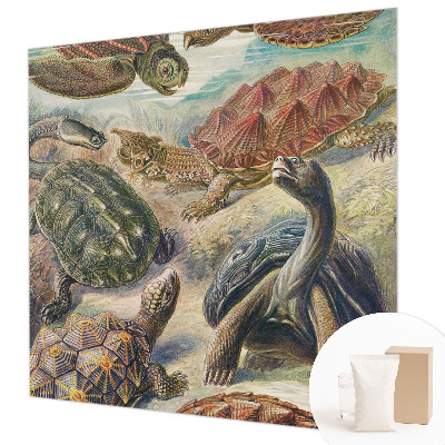 Modern wall mural for bedroom with a turtle fauna design