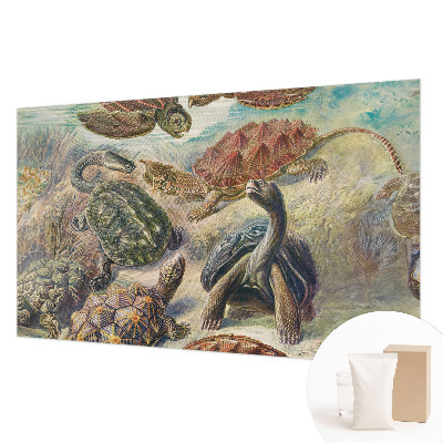 Modern wall mural for bedroom with a turtle fauna design