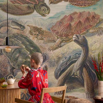 Modern wall mural for bedroom with a turtle fauna design