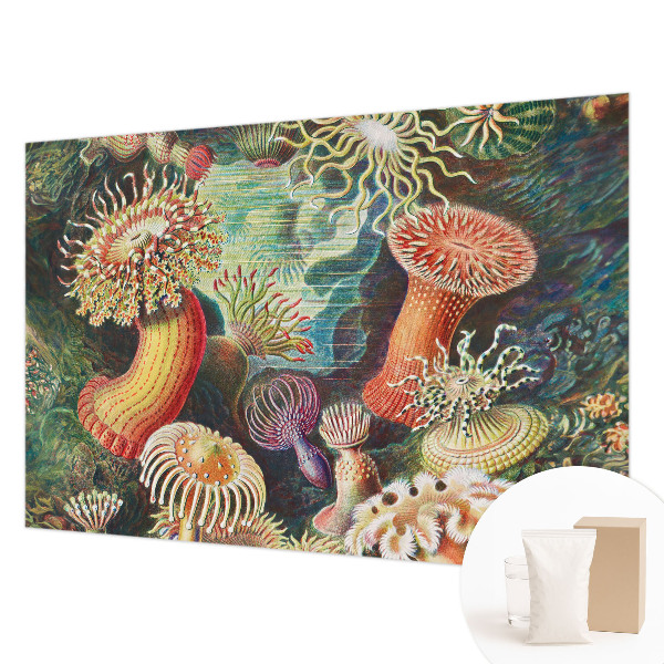 Modern wall mural for living room featuring a design of fancy anemones