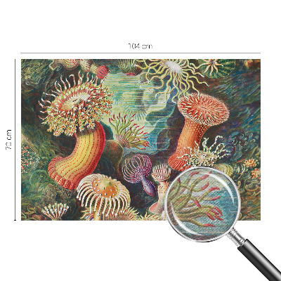 Modern wall mural for living room featuring a design of fancy anemones