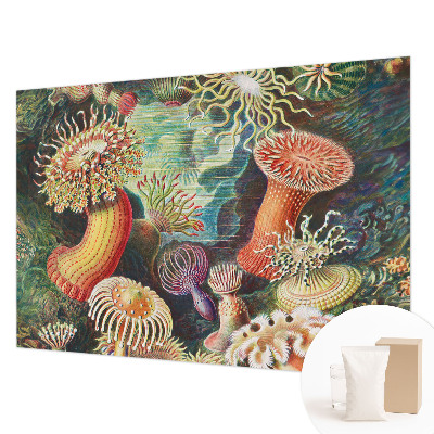 Modern wall mural for living room featuring a design of fancy anemones