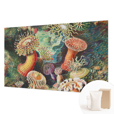 Modern wall mural for living room featuring a design of fancy anemones