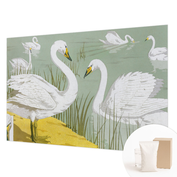 High quality photo wallpaper featuring Swan Lake