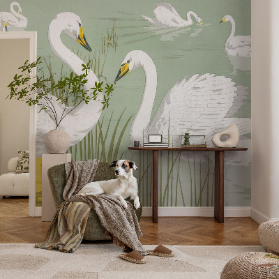High quality photo wallpaper featuring Swan Lake