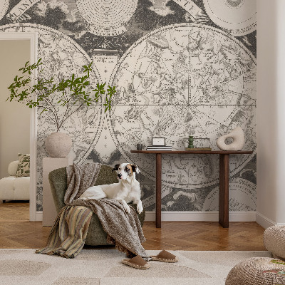 Premium wall mural for bedroom Star map