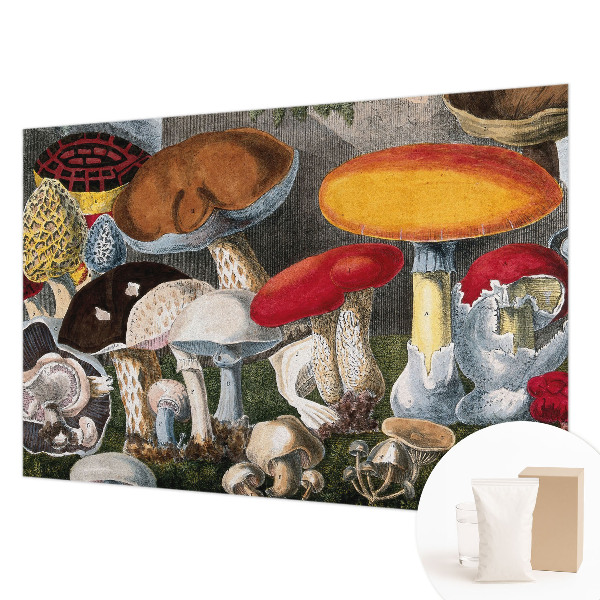 Wallpaper mural featuring a botanical mushroom pattern