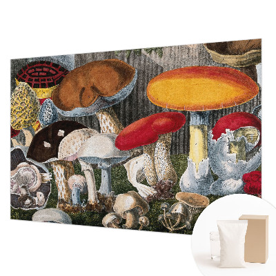 Wallpaper mural featuring a botanical mushroom pattern