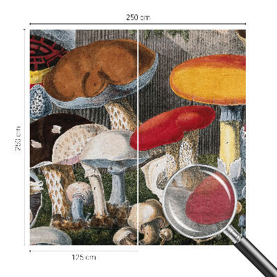 Wallpaper mural Botanical mushrooms