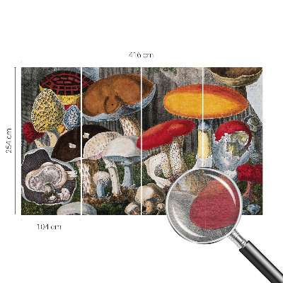 Wallpaper mural Botanical mushrooms