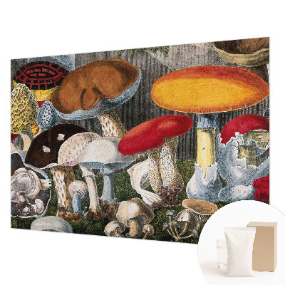 Wallpaper mural featuring a botanical mushroom pattern