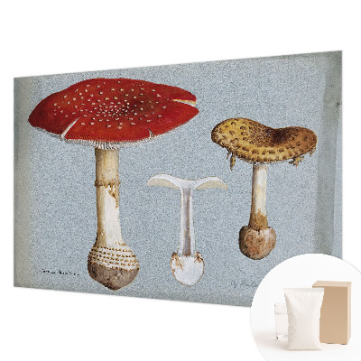 Wall mural for bedroom with mushroom engravings