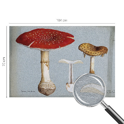 Wall mural for bedroom with mushroom engravings