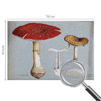 Wall mural for bedroom with mushroom engravings
